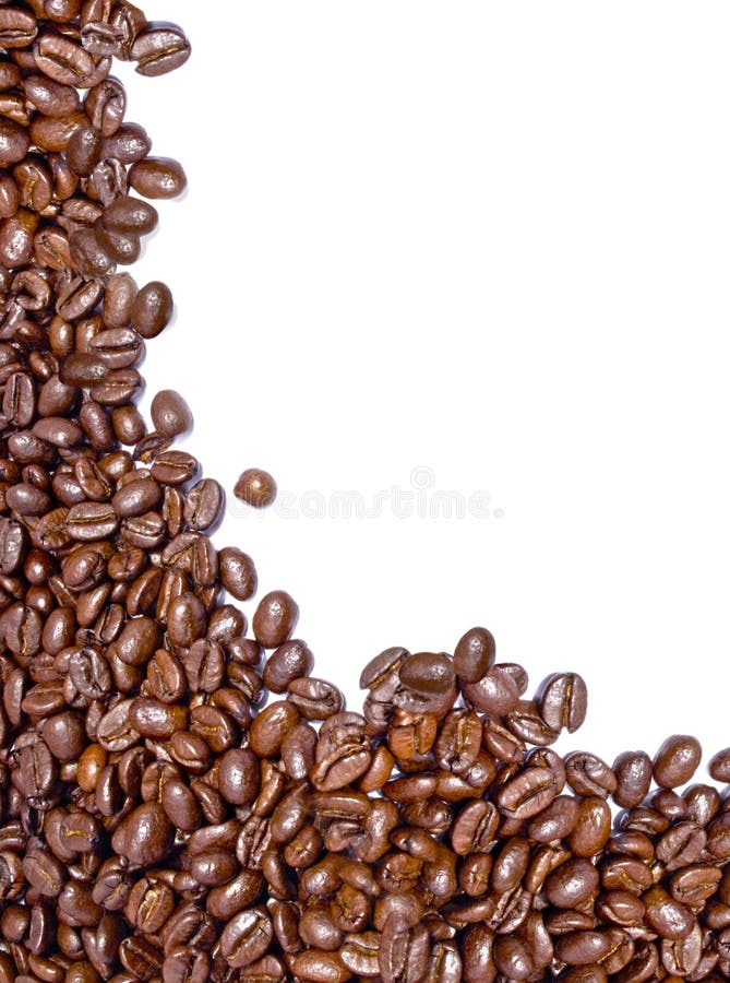 Fresh coffee beans royalty free stock photography