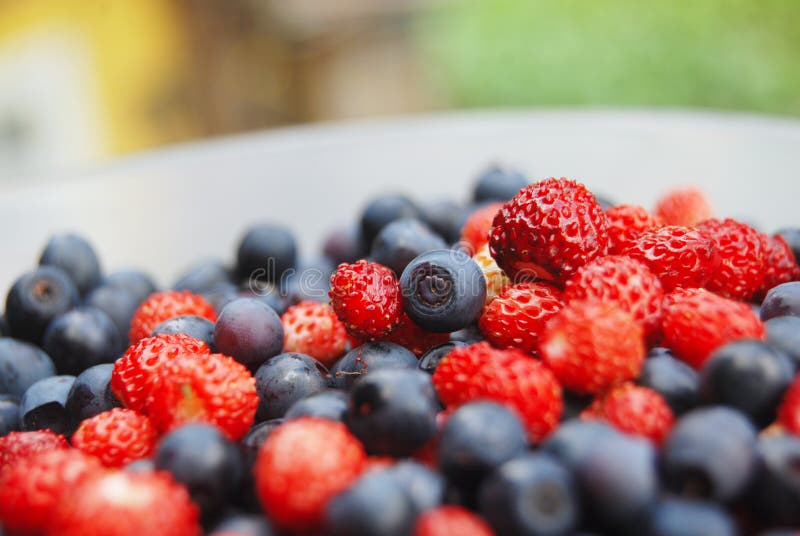 Fresh colourful berries