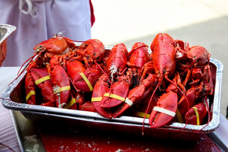 Fresh cookedd red lobsters stock photo. Image of cooking 163831562