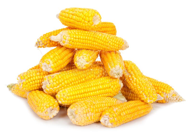 Fresh corn