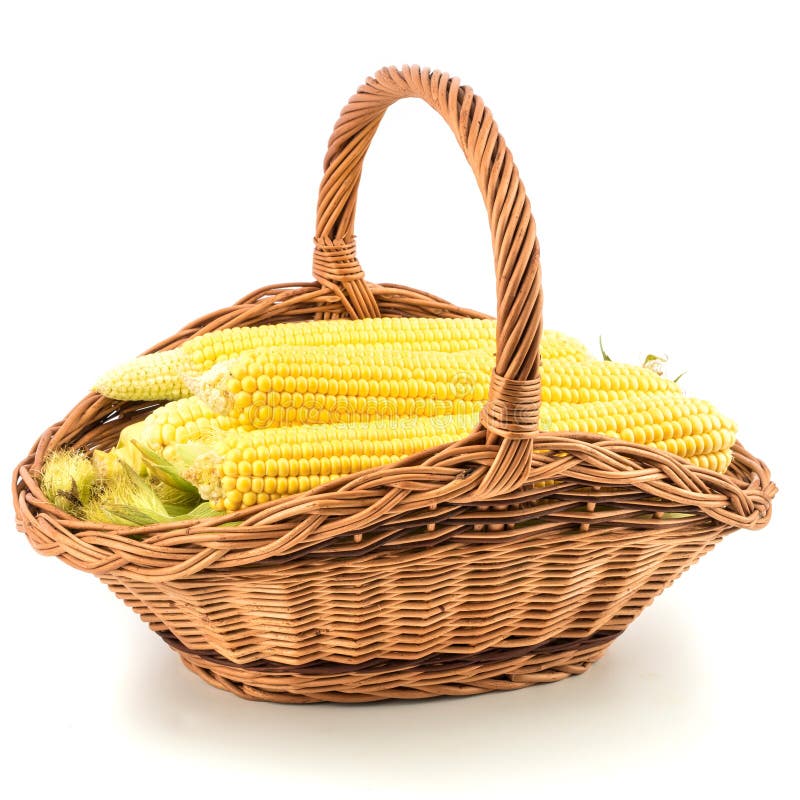Farmer with maize basket stock photo. Image of active 16429662