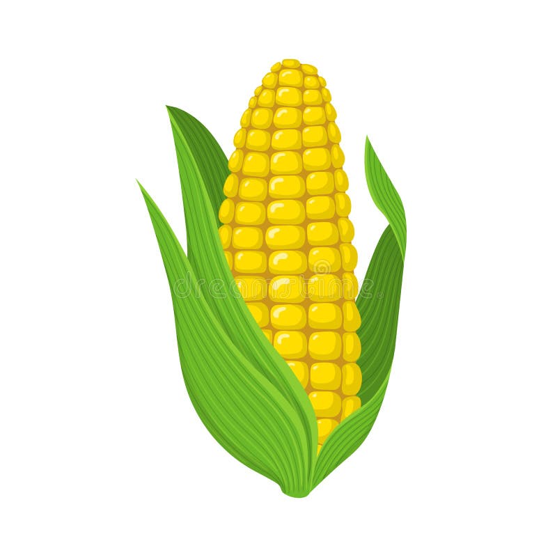 Corn Cob Cartoon Stock Illustrations – 2,037 Corn Cob Cartoon Stock Illustrations, Vectors & Clipart - Dreamstime Corn Cob Cartoon Stock Illustrations – 2,037 Corn Cob Cartoon Stock Illustrations, Vectors & Clipart - Dreamstime