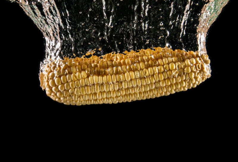 574 Corn Splashing Photos Free & RoyaltyFree Stock Photos from