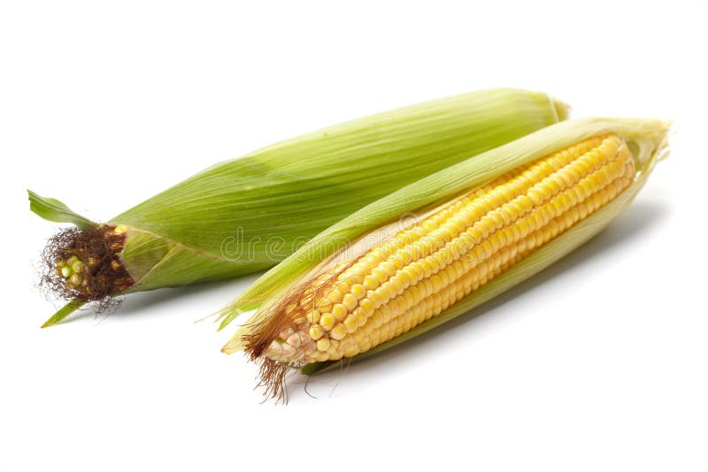 Fresh corn vegetable