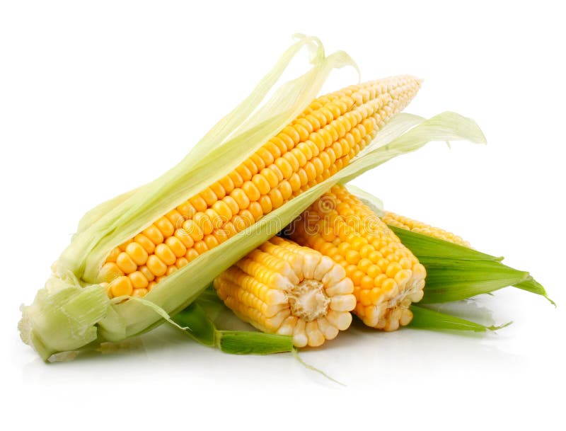 Fresh corn vegetable with green leaves