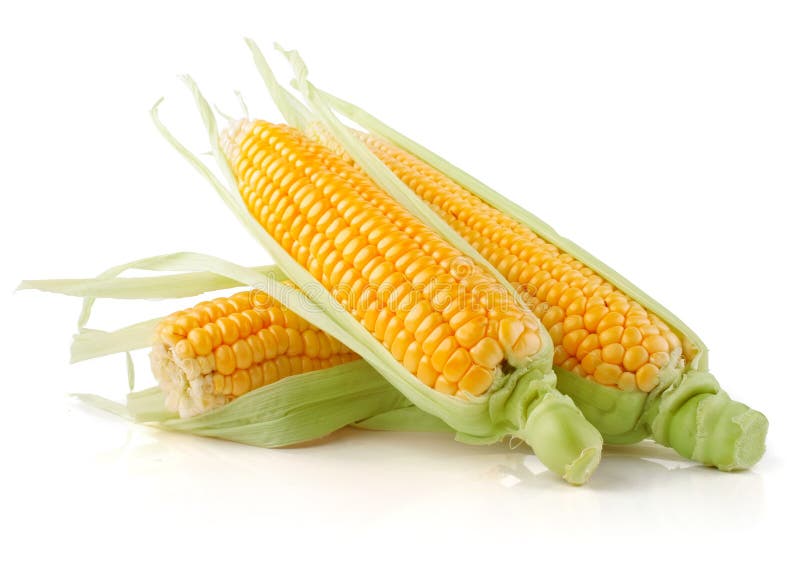 Fresh corn vegetable with green leaves