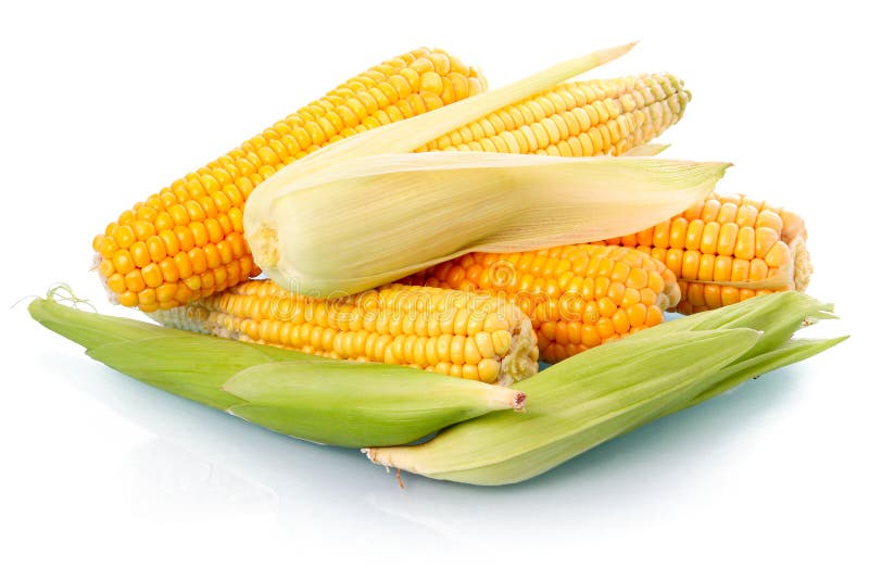 Fresh Corn Vegetable with Green Leaves Isolated Stock Photo Image of