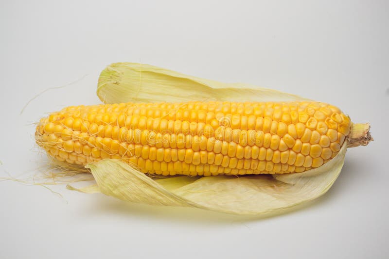 Fresh Corn Vegetable with Green Leaves Isolated on White Background