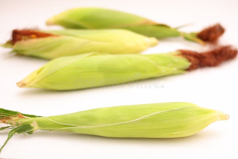 Fresh Corn Vegetable With Green Leaves Stock Photo Image of leaf