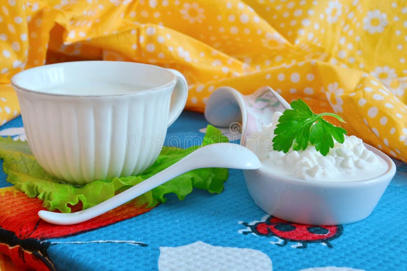 Fresh Cottage Cheese and Milk Stock Image Image of light, drinking