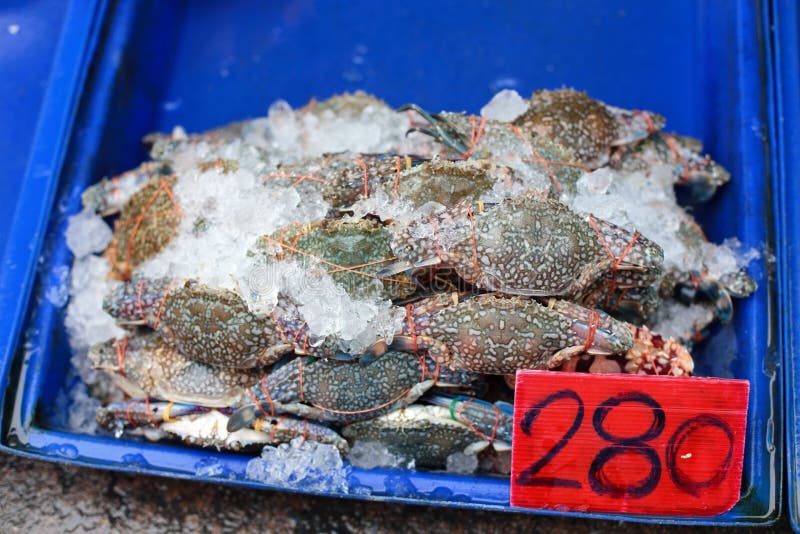 Fresh crab for sell stock image. Image of decapoda, sell 56814073