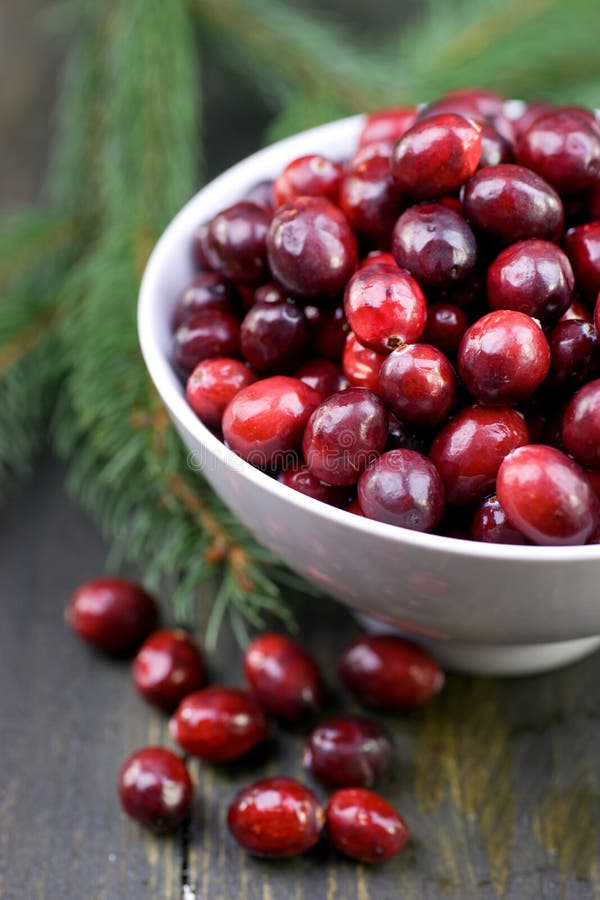 Fresh cranberries stock image. Image of time, vitamins 27226589