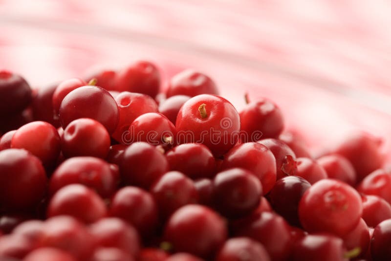 Cranberries stock photo. Image of cranberries, close, organic 6314252