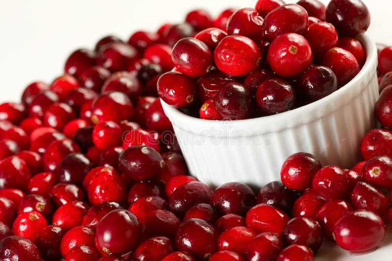 Fresh Cranberries stock photo. Image of cranberries, holiday 7397604