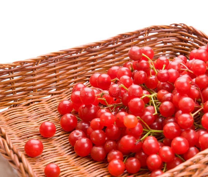 Fresh Cranberries in Basket Stock Photo Image of eating, color 39666172
