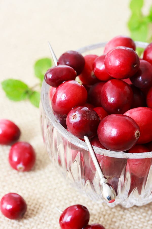 Fresh Cranberries stock photo. Image of stick, fruits 31943276