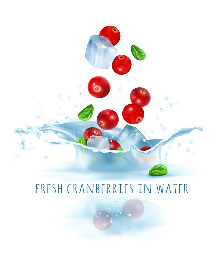 Fresh cranberries and ice cubes falling to water