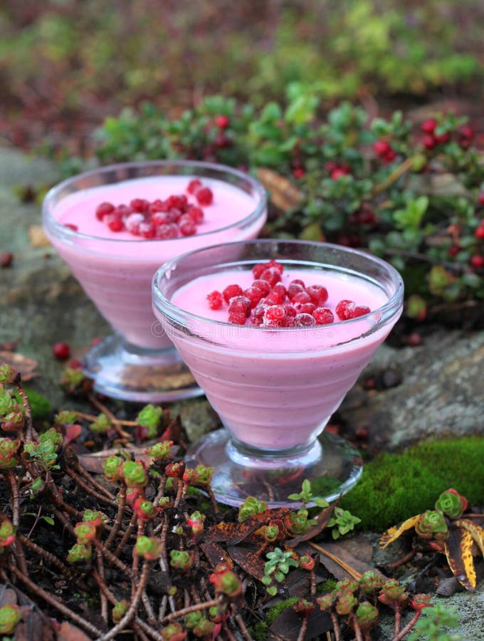 Fresh cranberry dessert in natural setup