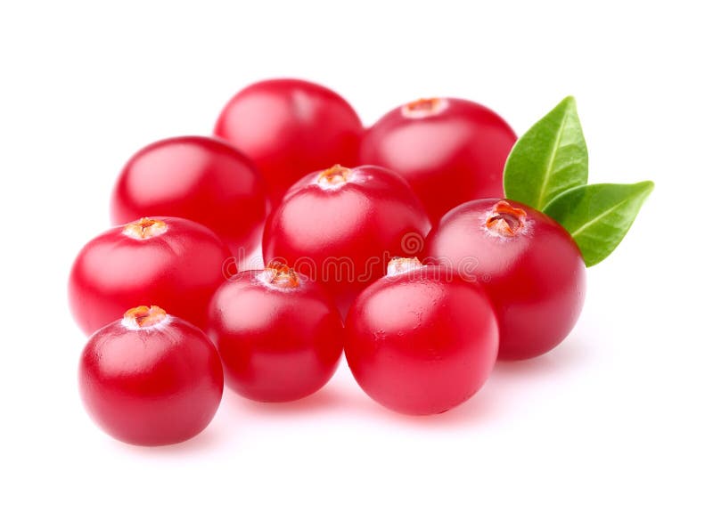 Fresh cranberry in water stock image. Image of forest 21648683