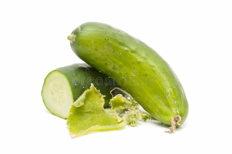 Fresh cucumbers