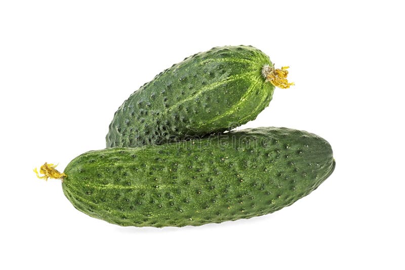 293,161 Organic Cucumber Stock Photos - Free & Royalty-Free Stock Photos  from Dreamstime