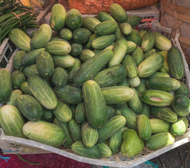 Cucumbers in the market stock image. Image of pickle 104092871