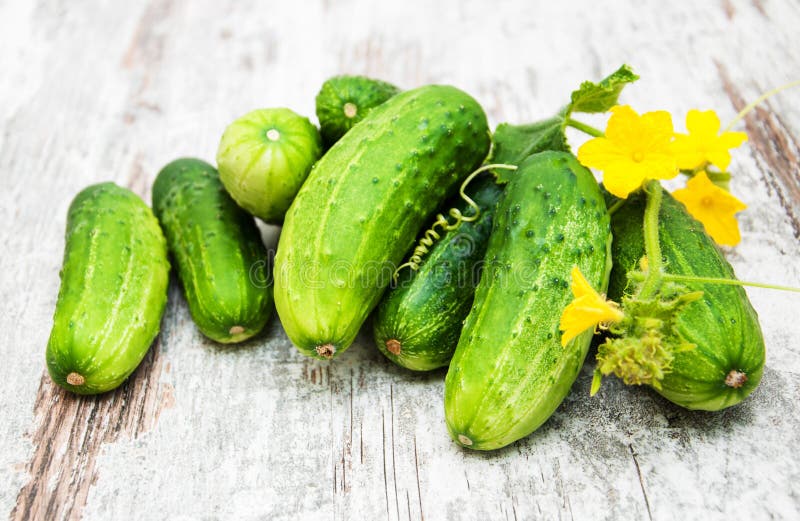 Fresh cucumbers