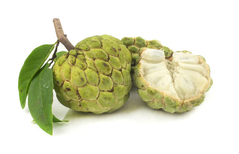 Fresh Organic Custard Apples Stock Photo Image of nutrition, fiber