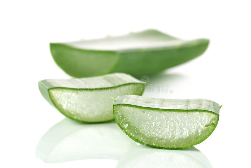 Fresh cut Aloe Vera slices stock photo. Image of medicine 27437496
