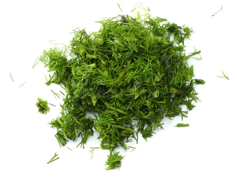 Fresh Cut Dill Isolated on White Background Stock Photo Image of