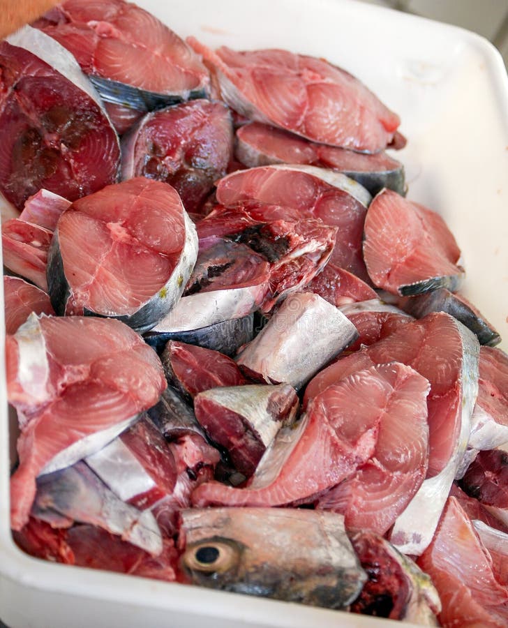 Fresh cut fish stock photo. Image of freshness, ingredient - 18145594