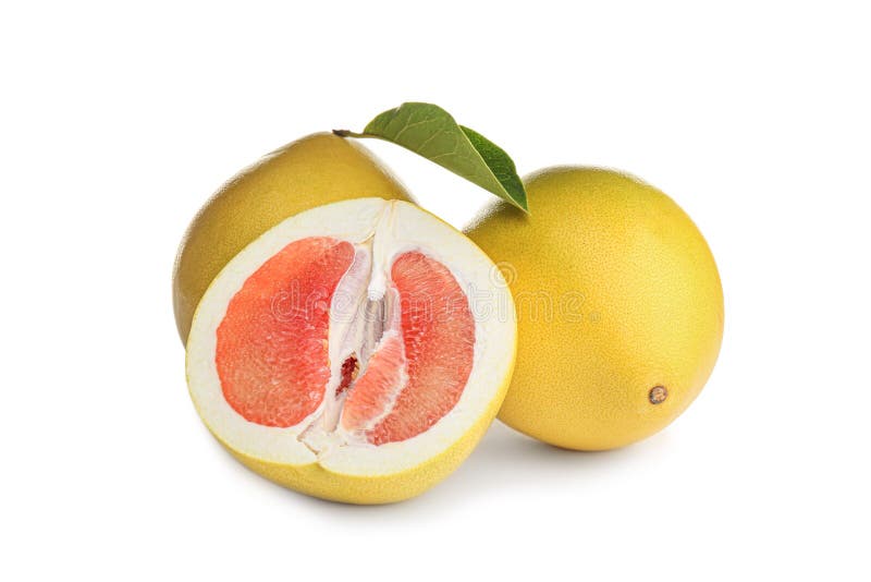 Pomelo Fruits Growing on a Green Branch Stock Photo Image of israel