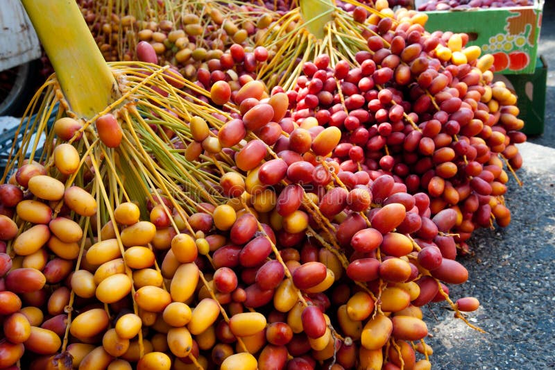 Fresh Dates at Jericho Market Stock Photo Image of palestine, fresh