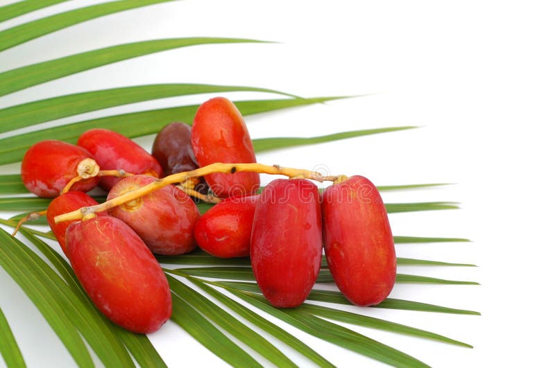 Fresh dates from Saudi Arabia