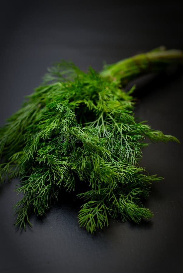 Fresh dill