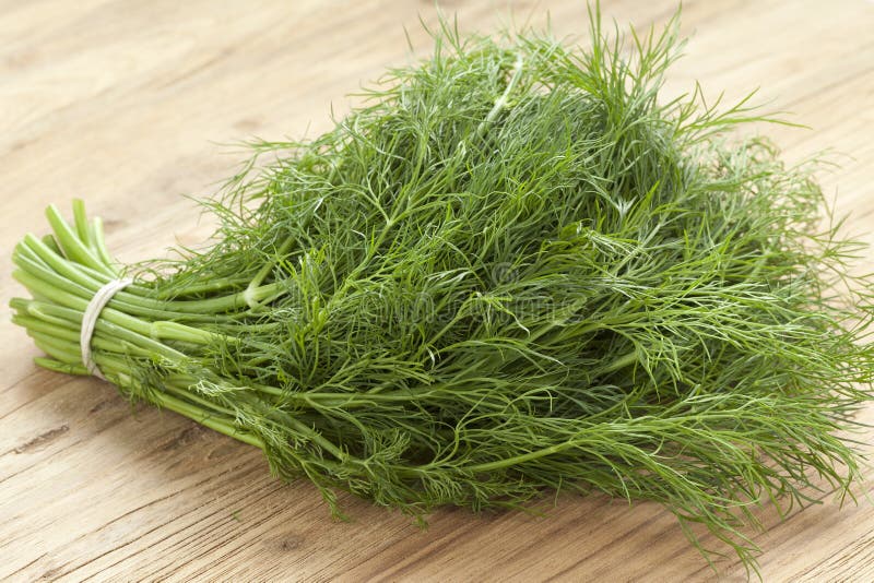 Fresh dill stock image. Image of green, dill, herb, weed 51355573