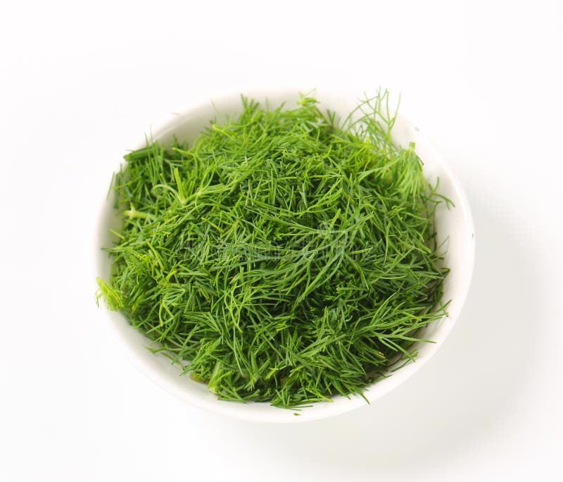 Fresh dill leaves stock image. Image of view, leaves 33977063