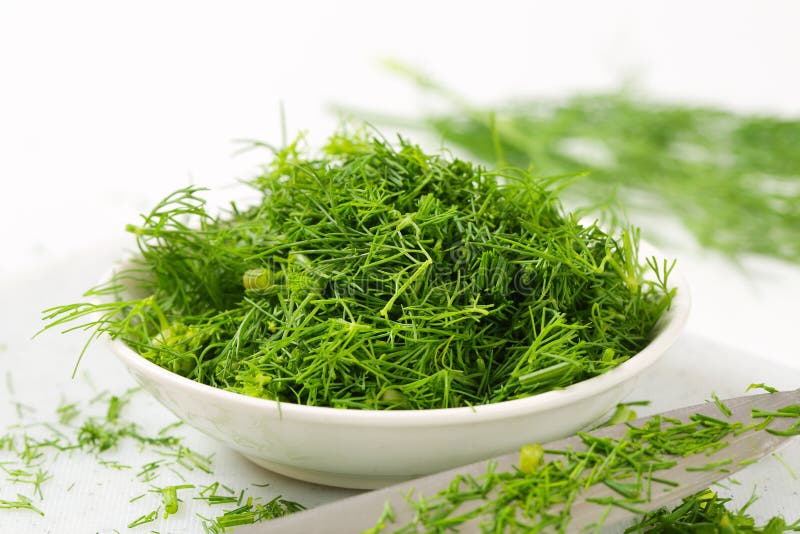 Fresh dill leaves stock photo. Image of culinary, dill 56645428