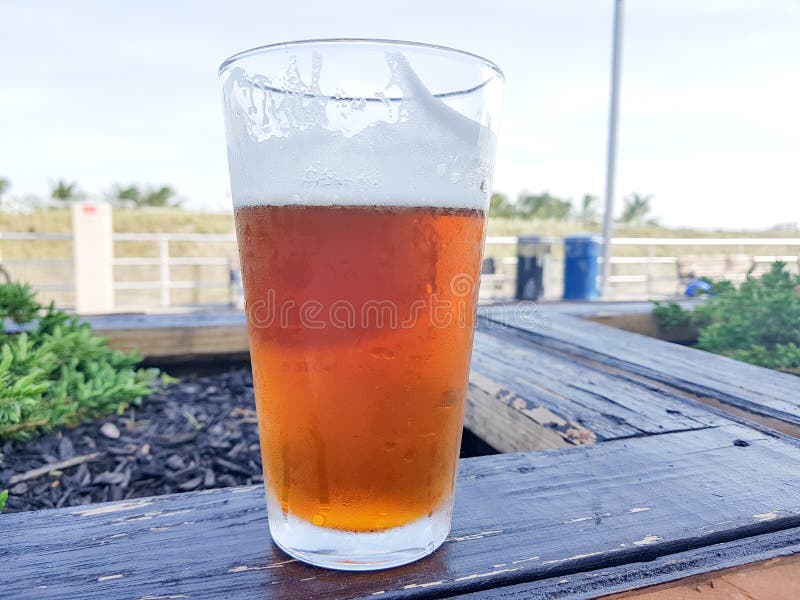 Fresh Draft Beer Near the Beach Stock Image Image of amber, alcoholic 117574111