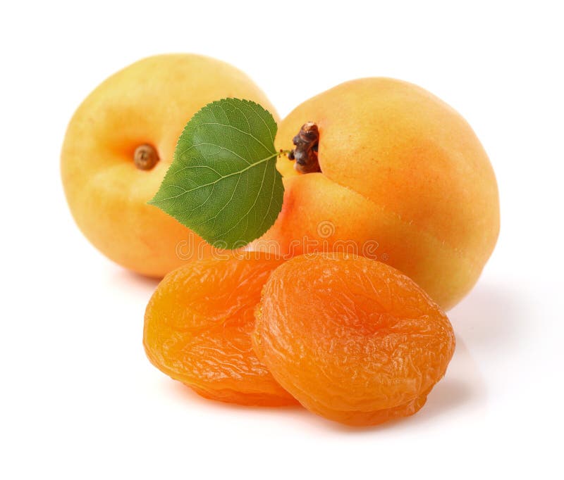 Dried apricot with nuts stock photo. Image of nature 11142560