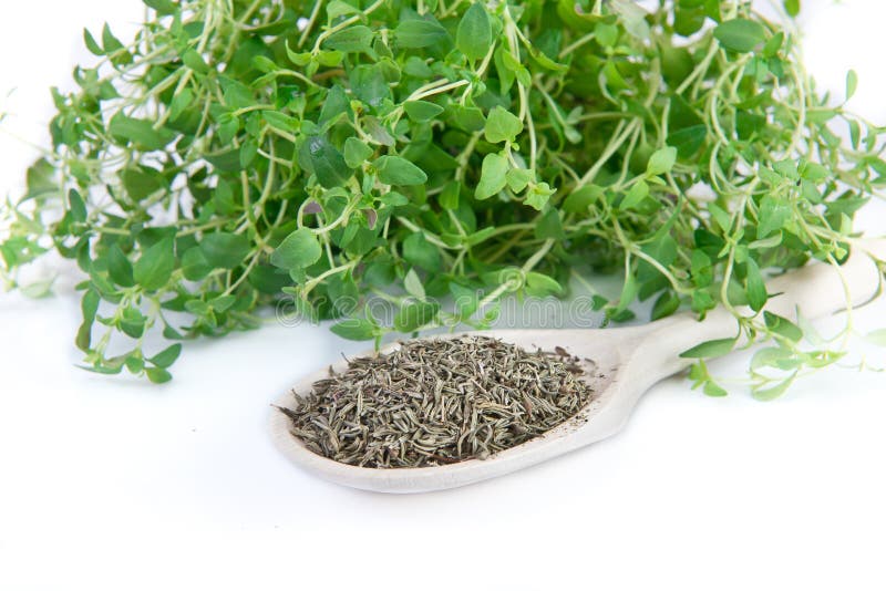 Fresh and dried thyme stock image. Image of eating, food 43181363