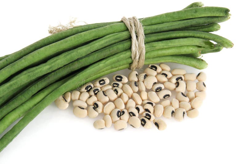 Fresh and dry black eyed bean royalty free stock image