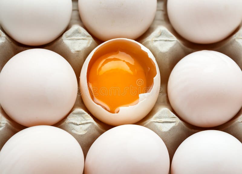 Duck egg yolk stock photo. Image of orange, albumen, embryo 29897064