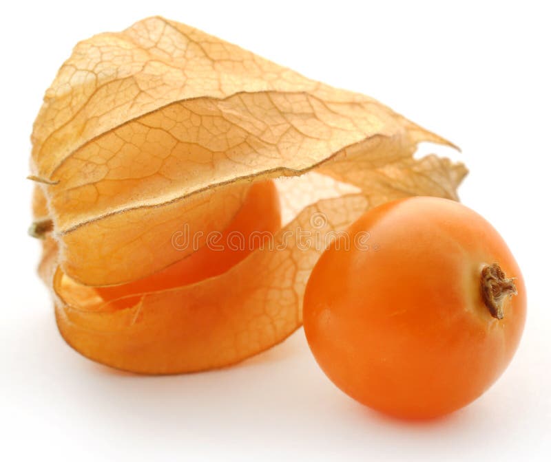 Fresh edible physalis