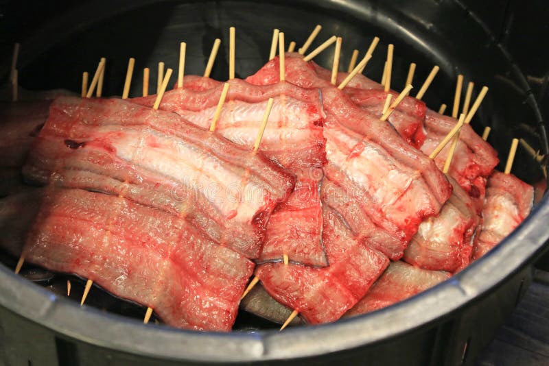 Fresh Eel Preparation before Cooking. Stock Image Image of preparing