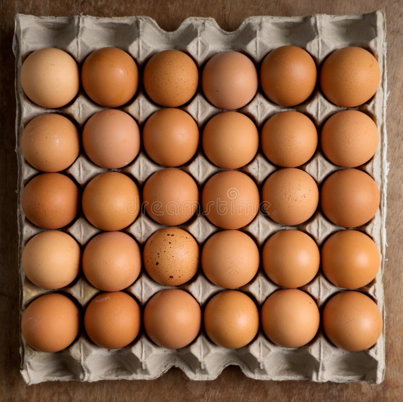 Fresh egg on paper tray stock photo. Image of ingredient 67959614