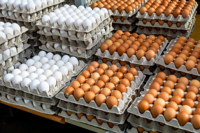 Fresh eggs