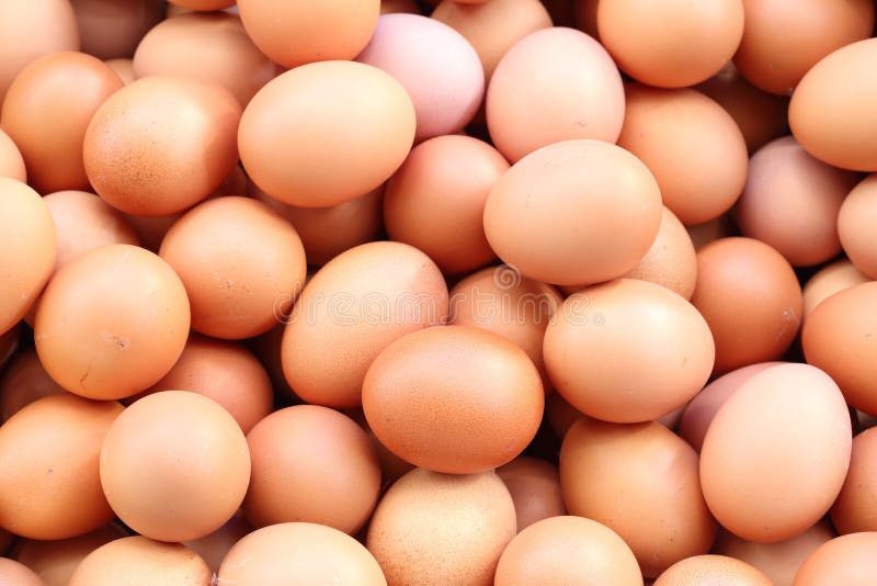 Fresh Eggs for Sale at a Market Stock Image Image of ingredient