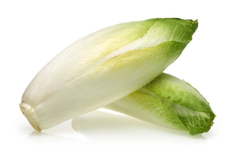6 816 Endive Photos Free Royalty Free Stock Photos From Dreamstime