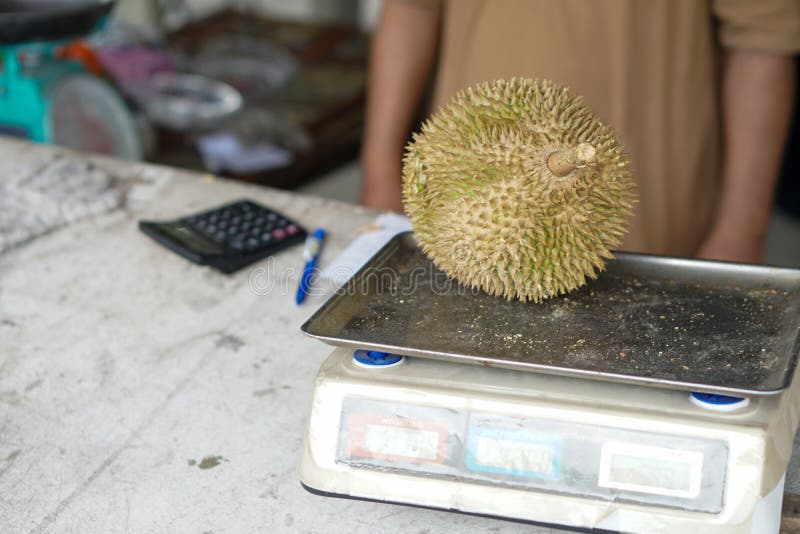 https://thumbs.dreamstime.com/b/fresh-exotic-tropical-fruits-durian-asian-king-fruit-closeup-fresh-exotic-tropical-fruits-durian-weighing-scale-sale-173283865.jpg